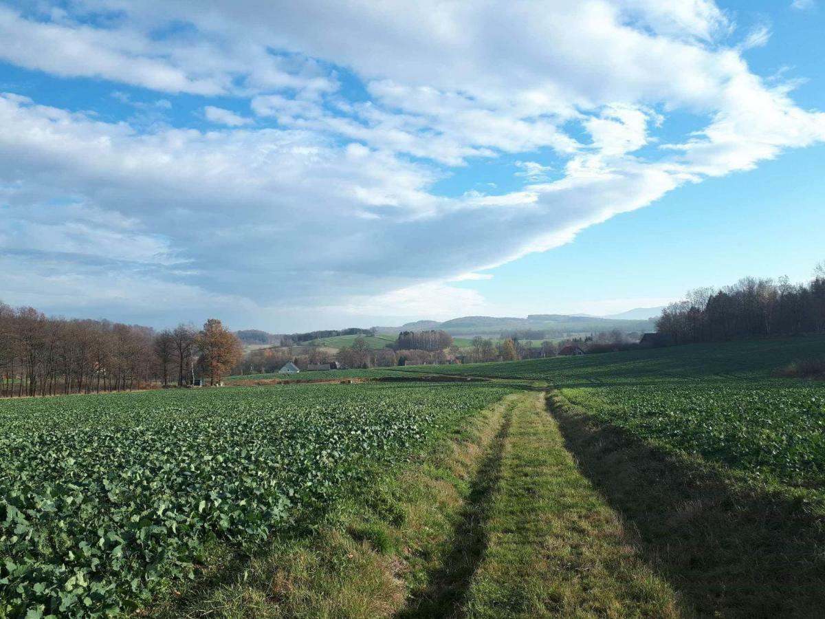 Agroturystyka U Swiatkow Stara Kamienica Eksteriør billede